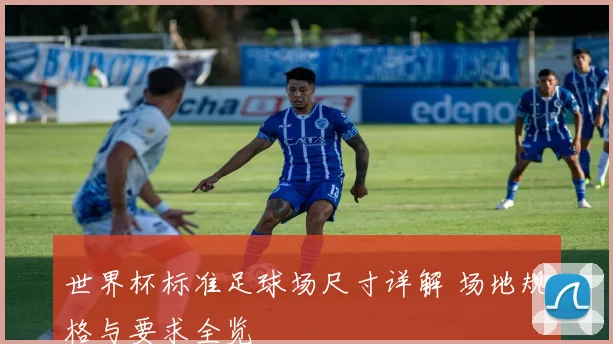 世界杯标准足球场尺寸详解 场地规格与要求全览