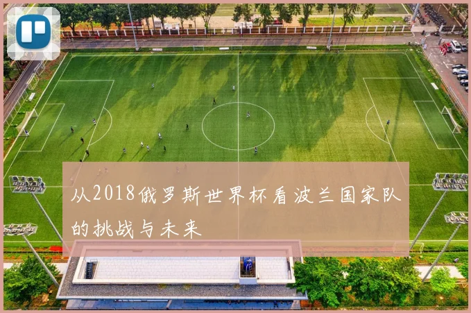 从2018俄罗斯世界杯看波兰国家队的挑战与未来