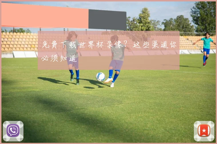 免费下载世界杯录像？这些渠道你必须知道