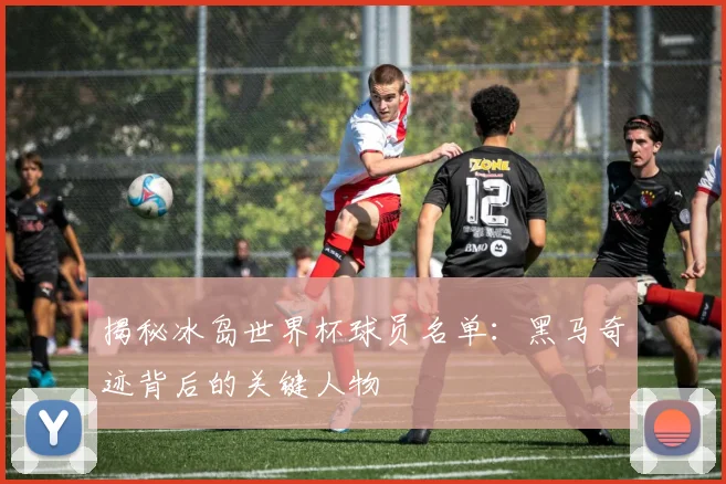 揭秘冰岛世界杯球员名单：黑马奇迹背后的关键人物