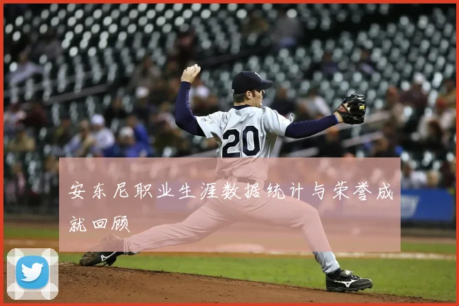 安东尼职业生涯数据统计与荣誉成就回顾