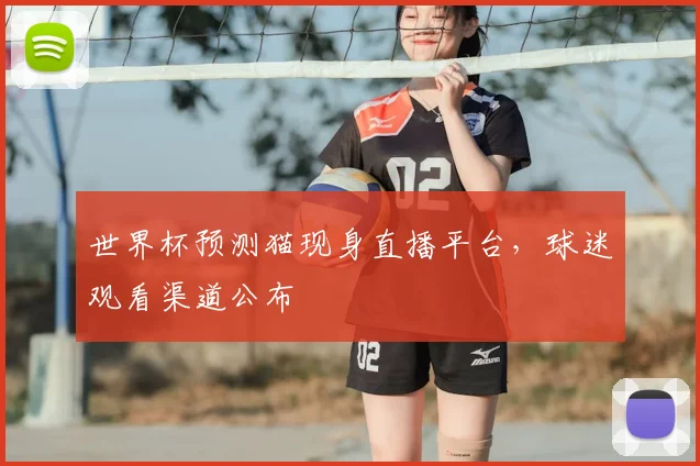 世界杯预测猫现身直播平台，球迷观看渠道公布