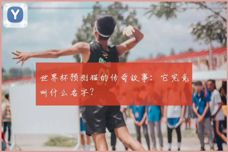 世界杯预测猫的传奇故事：它究竟叫什么名字？